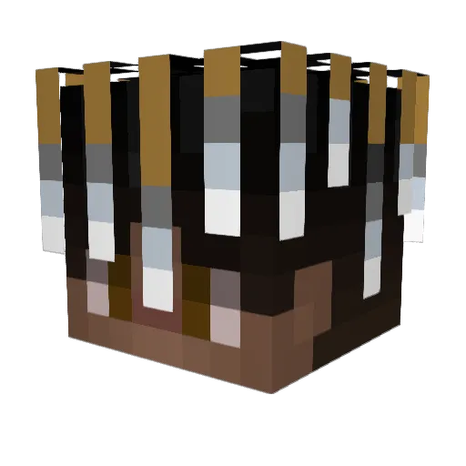 SpringRock95075 Minecraft avatar head, 3D render