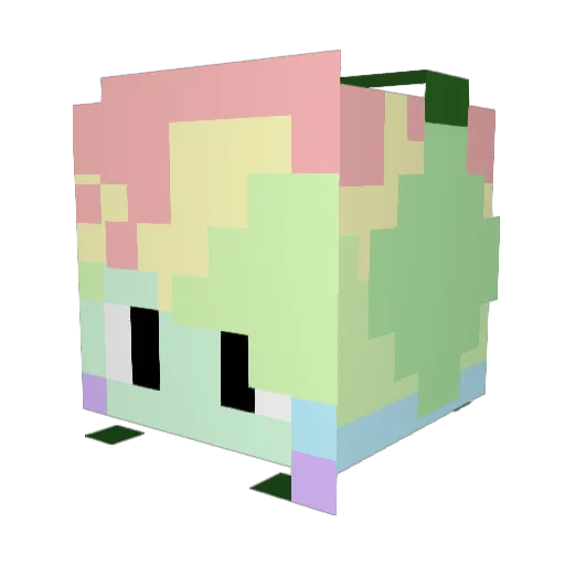 Spring_Plays Minecraft avatar head, 3D render