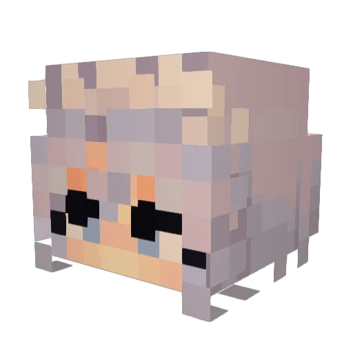 Spring_g Minecraft avatar head, 3D render