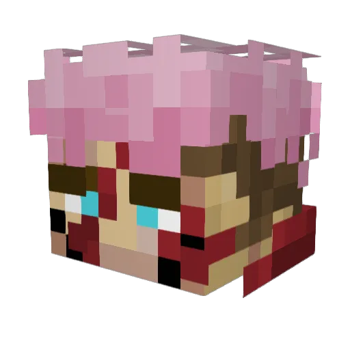 SpringendKonijn Minecraft avatar head, 3D render