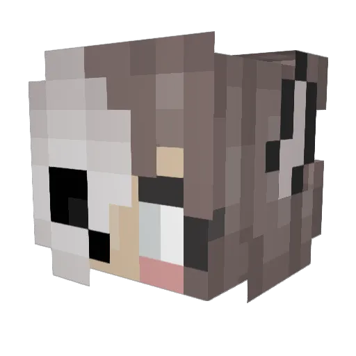 SpringgamerX1234 Minecraft avatar head, 3D render