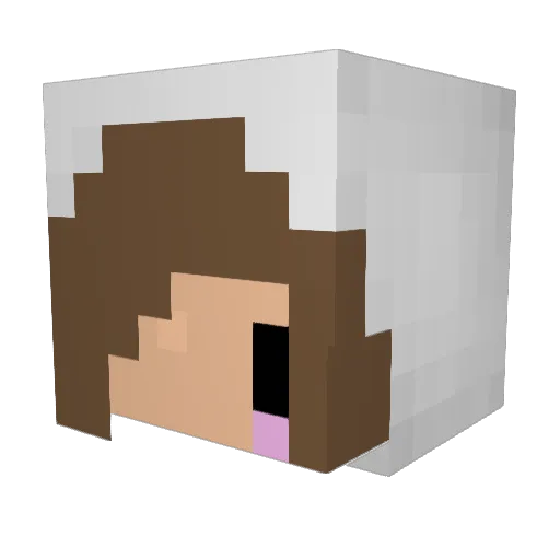 Springlife_388 Minecraft avatar head, 3D render