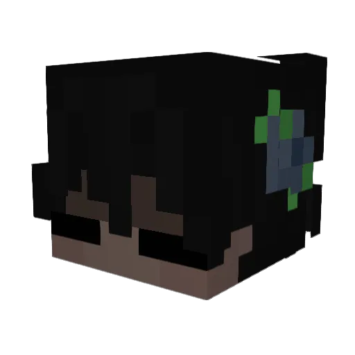 Springo321 Minecraft avatar head, 3D render