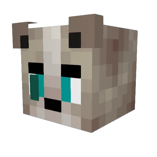 Springster Minecraft avatar head, 3D render