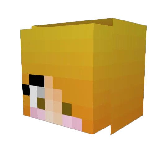 SpringyGamer Minecraft avatar head, 3D render