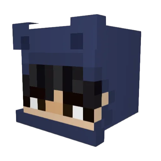 Sprinkilli Minecraft avatar head, 3D render