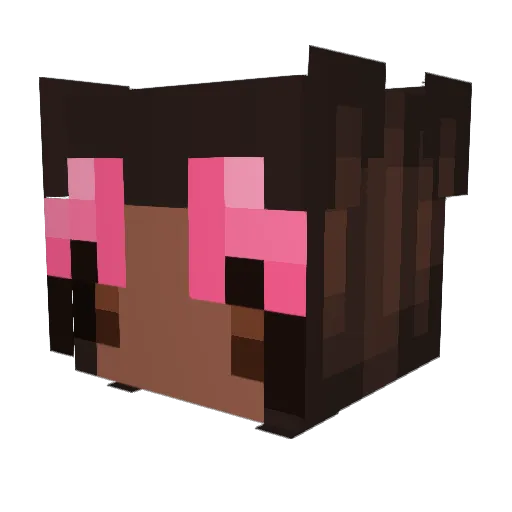 SprinkleChicken Minecraft avatar head, 3D render