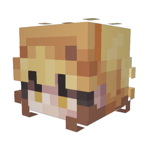 SprinkleGlasses Minecraft avatar head, 3D render