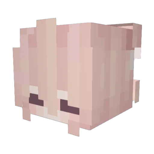 Sprinklezzzzzz Minecraft avatar head, 3D render