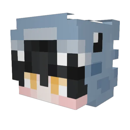 SpritNyeSandaler Minecraft avatar head, 3D render