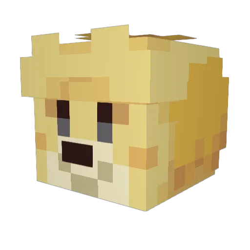 SprmeLder321 Minecraft avatar head, 3D render