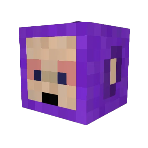 Sproket1112 Minecraft avatar head, 3D render
