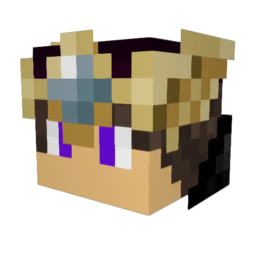 Sprotion Minecraft avatar head, 3D render