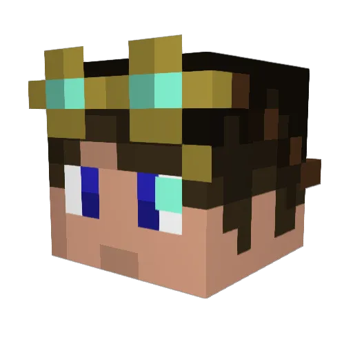 Spruce__Wayne Minecraft avatar head, 3D render