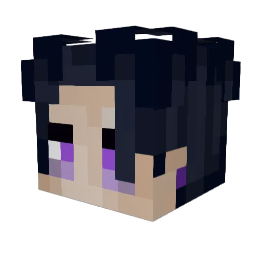 Sprxill Minecraft avatar head, 3D render