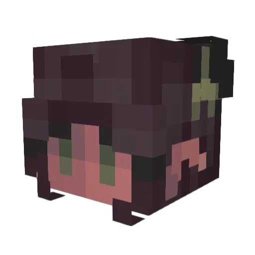 Sprytnica Minecraft avatar head, 3D render