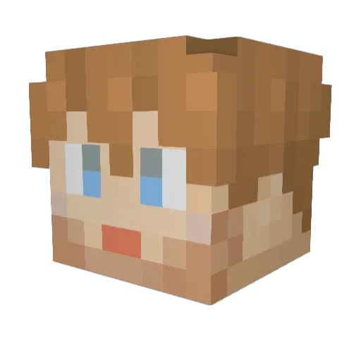SptFanatic5 Minecraft avatar head, 3D render