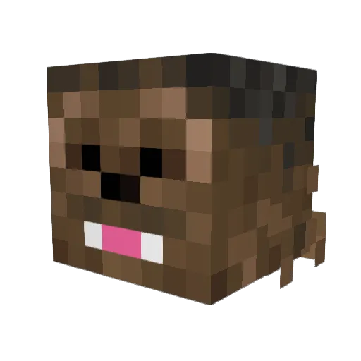 SpudleyBurrow Minecraft avatar head, 3D render