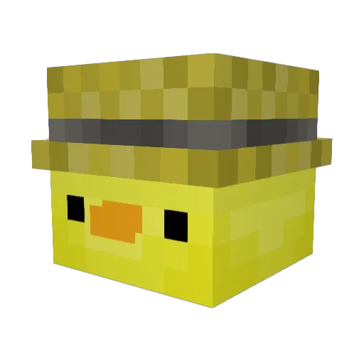 SpuerQuack Minecraft avatar head, 3D render