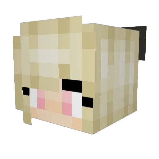 Spuffy22 Minecraft avatar head, 3D render