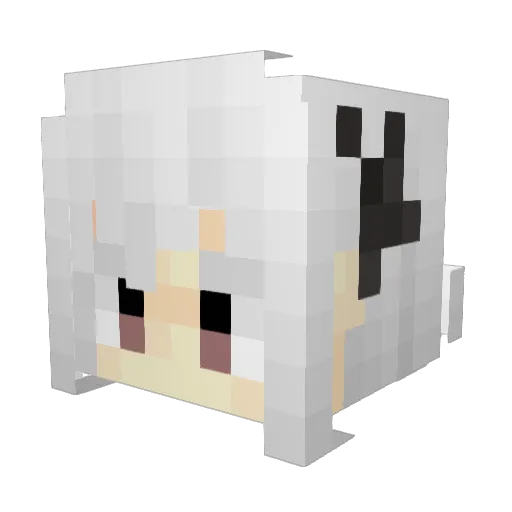 Spuk_1 Minecraft avatar head, 3D render
