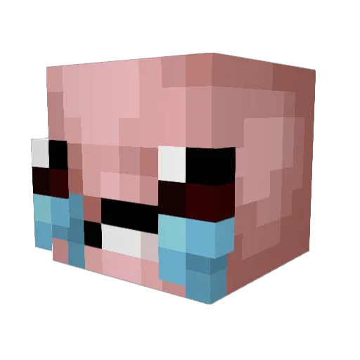 Spunko05 Minecraft avatar head, 3D render