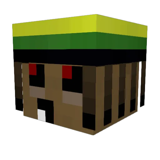 Spurflosse55 Minecraft avatar head, 3D render