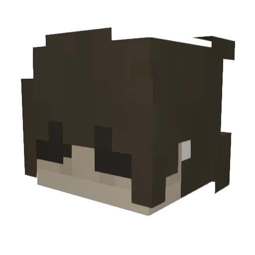 Spursf00S Minecraft avatar head, 3D render