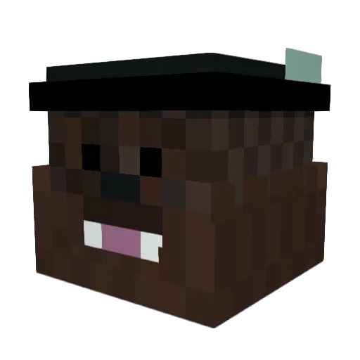 Spvmeee Minecraft avatar head, 3D render