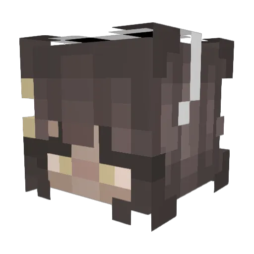 Spxce_clxud Minecraft avatar head, 3D render