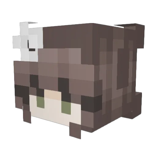 Spxrtsfreund Minecraft avatar head, 3D render