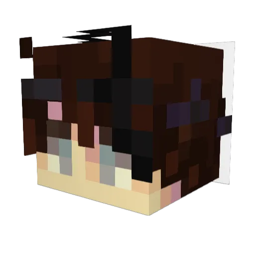 Spy20190 Minecraft avatar head, 3D render