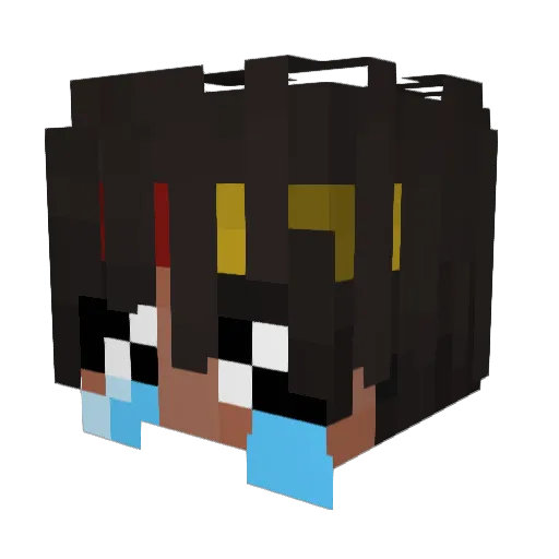 SpyNinja204 Minecraft avatar head, 3D render