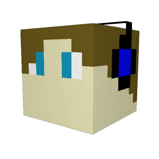 SpySpin17 Minecraft avatar head, 3D render