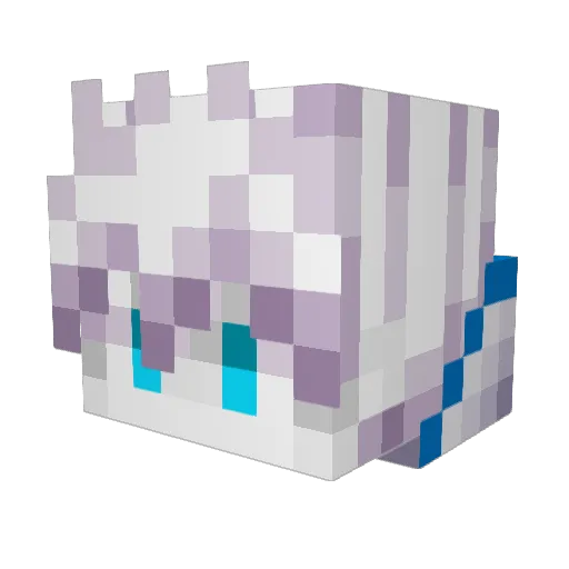 Spy_Dragon Minecraft avatar head, 3D render