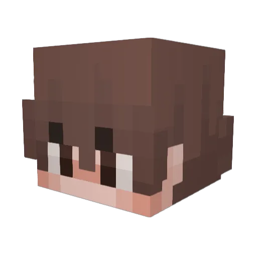 Spyboy215 Minecraft avatar head, 3D render