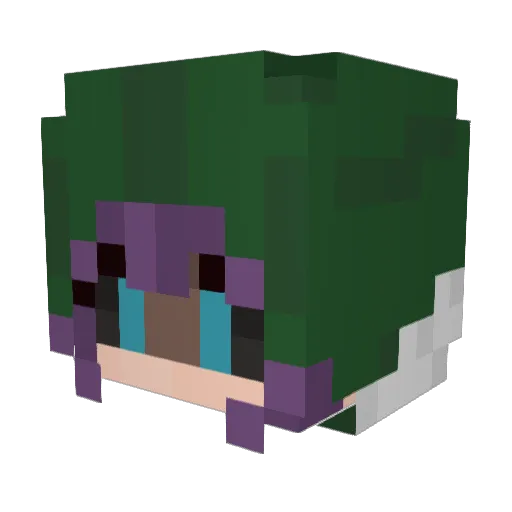 Spyder_kid Minecraft avatar head, 3D render