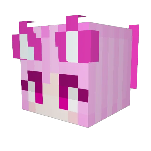 SpyingWind2020 Minecraft avatar head, 3D render
