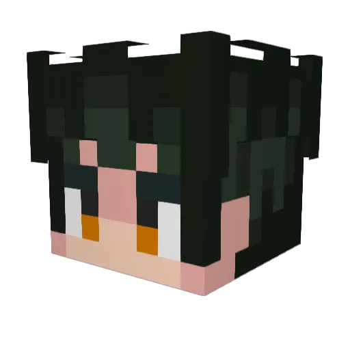Spyr0indahouse Minecraft avatar head, 3D render