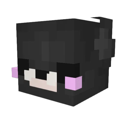 Spyral Minecraft avatar head, 3D render
