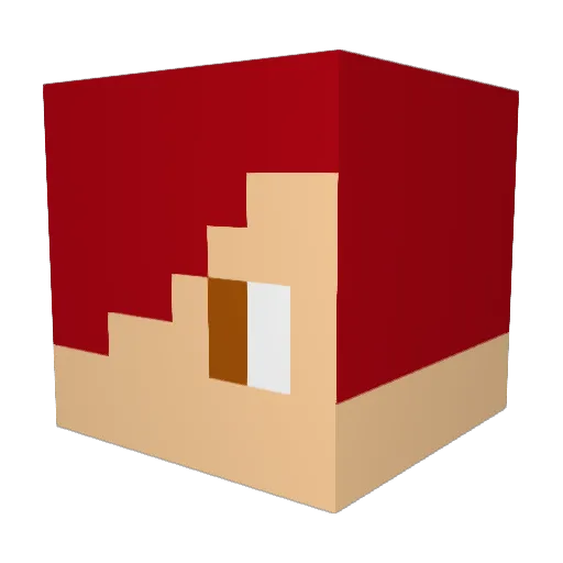 Spyro2011 Minecraft avatar head, 3D render