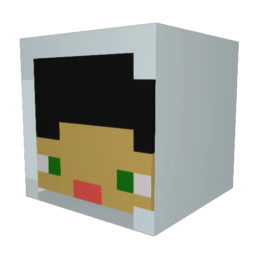 Sqaaakoi Minecraft avatar head, 3D render