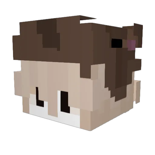 Sqadash Minecraft avatar head, 3D render