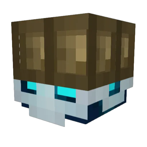 Sqauncher1514 Minecraft avatar head, 3D render