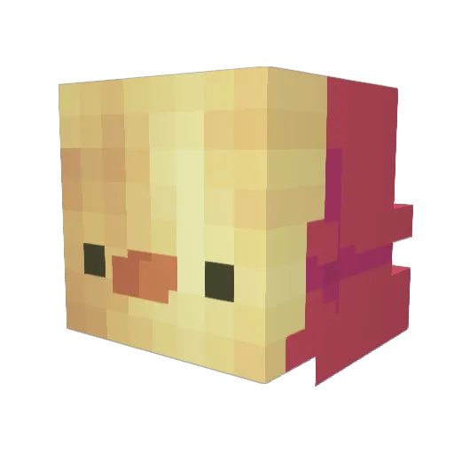 SqaushedBugg Minecraft avatar head, 3D render