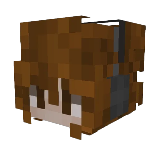 Sqfja Minecraft avatar head, 3D render