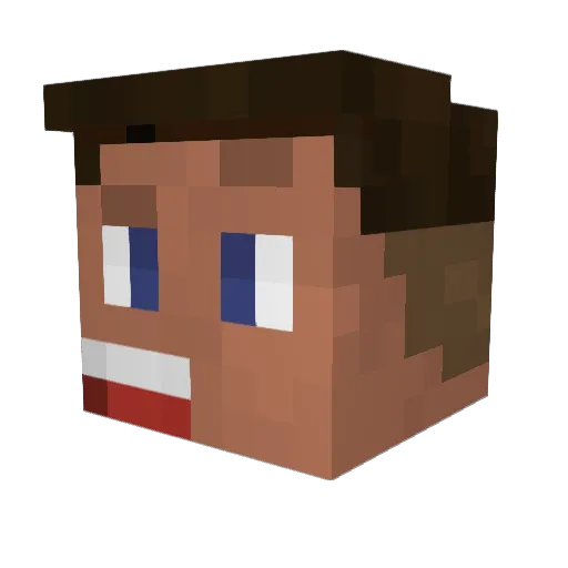 SqidFr Minecraft avatar head, 3D render