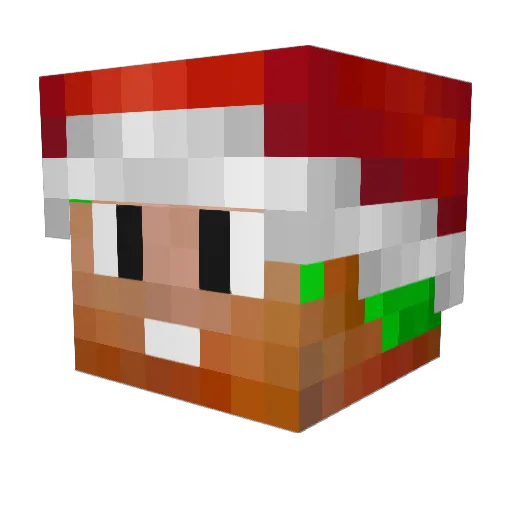 Sqifs Minecraft avatar head, 3D render