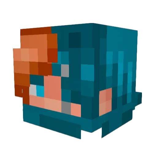 Squ1dov Minecraft avatar head, 3D render