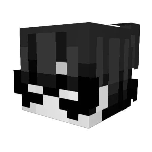 Squaam Minecraft avatar head, 3D render
